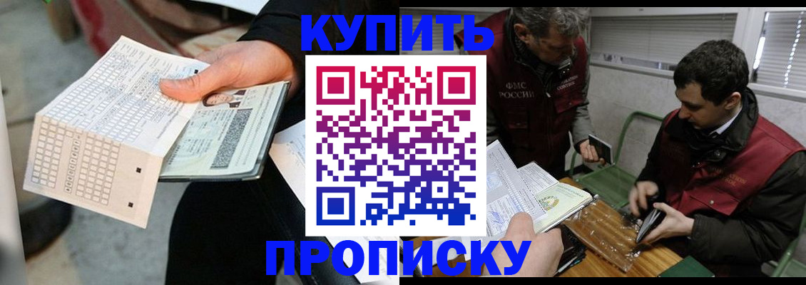 прописка поиск в Заинске